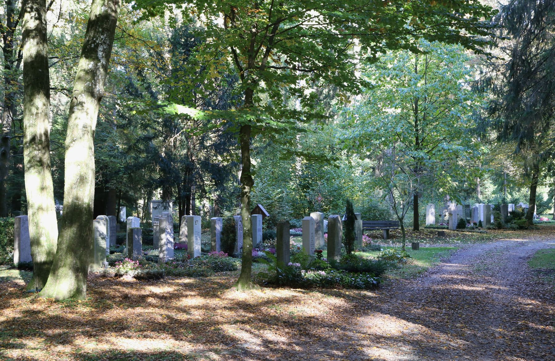Geschwungener Kiesweg durch locker verteilte Grabreihen unter alten Bäumen auf Waldfriedhof Solln