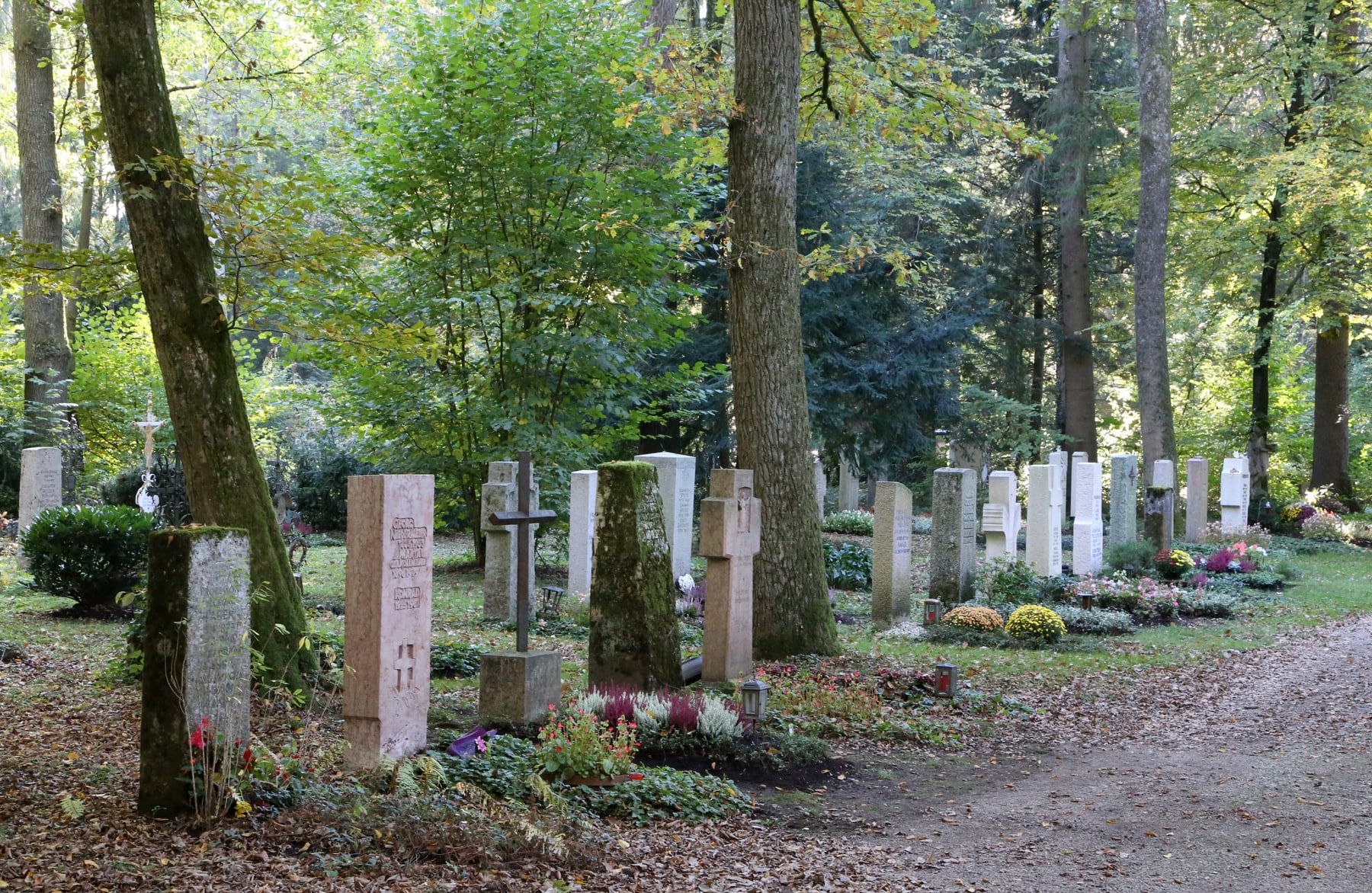 Reihe unterschiedlich hoher Grabsteine am Rand eines bewaldeten Weges auf Waldfriedhof Solln